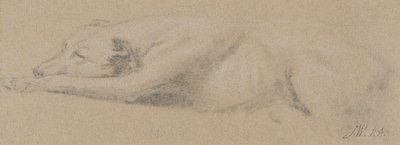 Study of a Sleeping Dog by James Ward